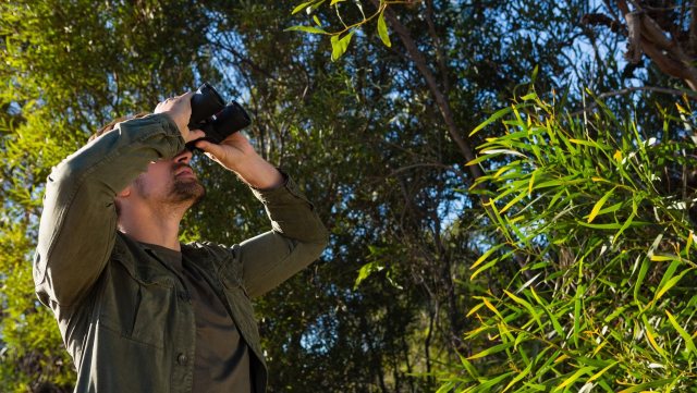 The first recorded sighting of a common cuckoo in New York has created quite a stir in the birding community.