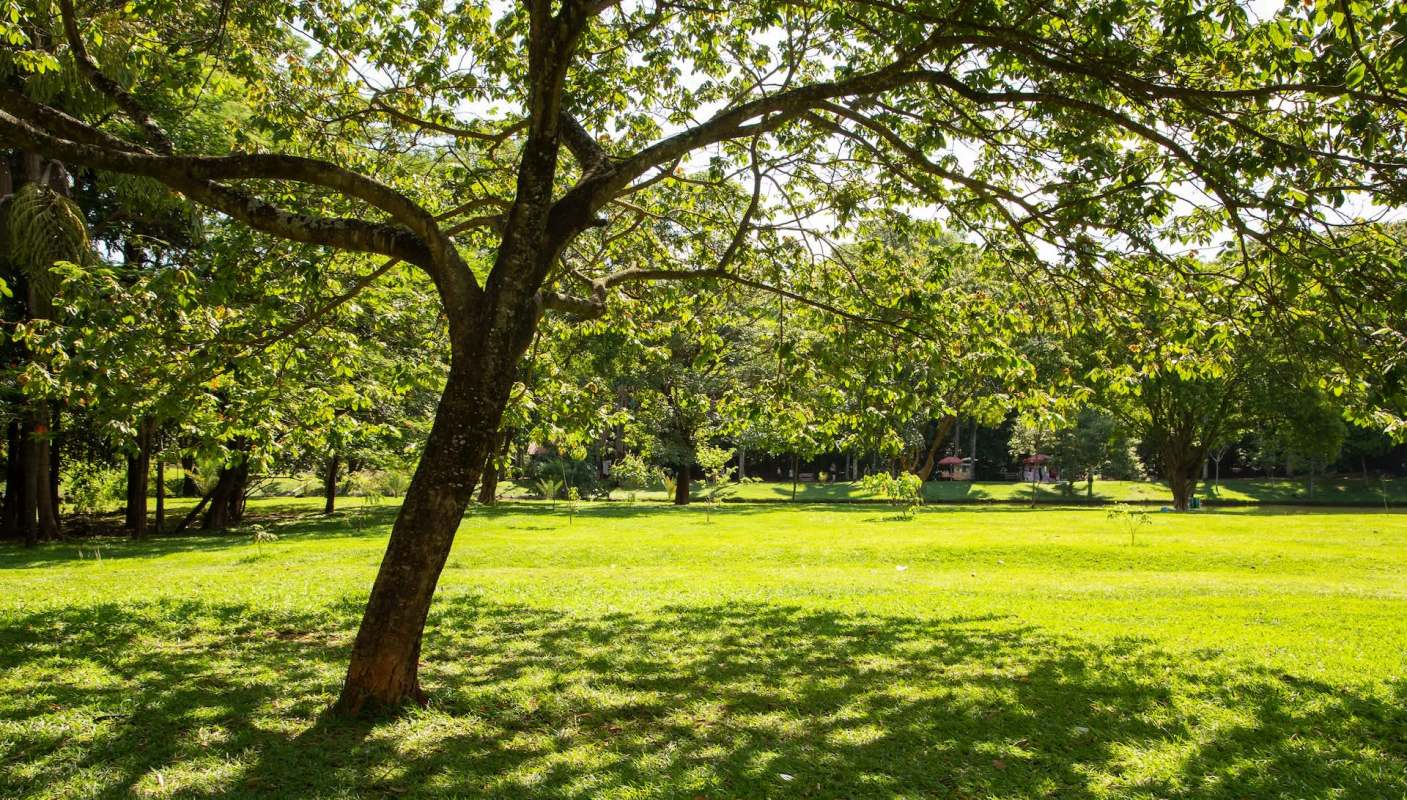 Park officials are collecting hazardous waste in the form of e-cigarettes. They issued a warning on the SMTX Parks and Recreation's Facebook page.