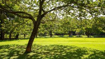 Park officials are collecting hazardous waste in the form of e-cigarettes. They issued a warning on the SMTX Parks and Recreation's Facebook page.
