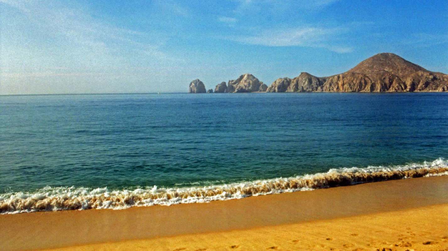 The critically endangered vaquita porpoise has been spotted swimming with its calf in the Gulf of California.