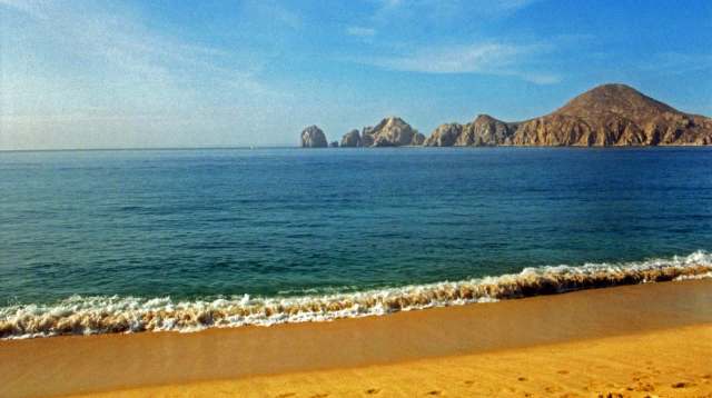 The critically endangered vaquita porpoise has been spotted swimming with its calf in the Gulf of California.