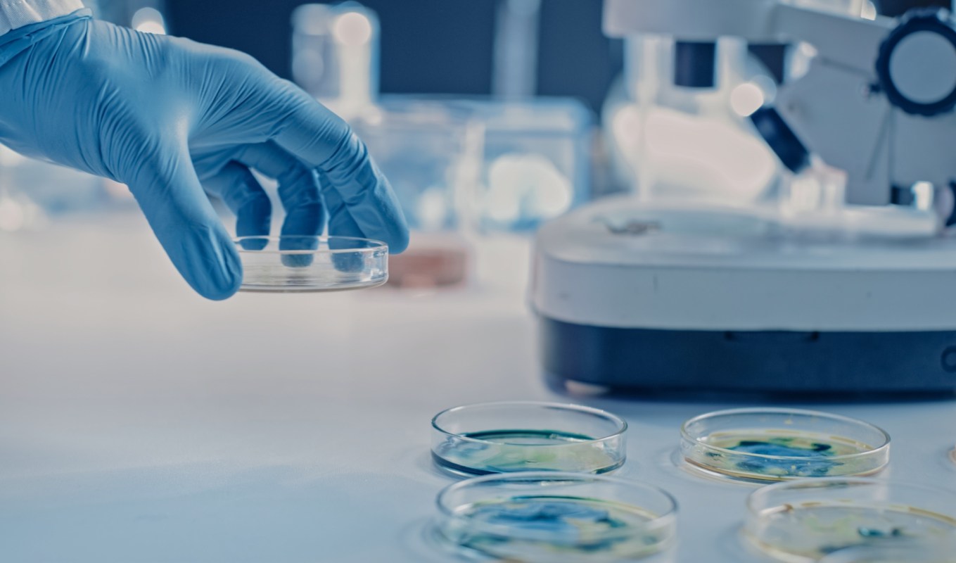 Mosquito salivary factors “could offer a novel therapeutic strategy to mitigate viral-induced inflammation.”