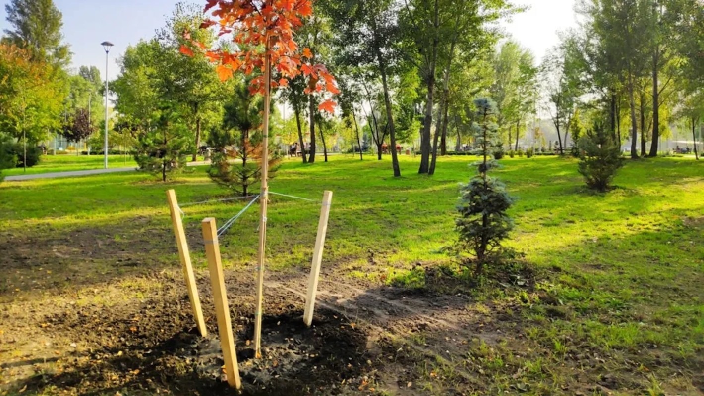 One Reddit user was horrified by a photo of volcano mulching around a tree and shared their frustration in a landscaping thread.