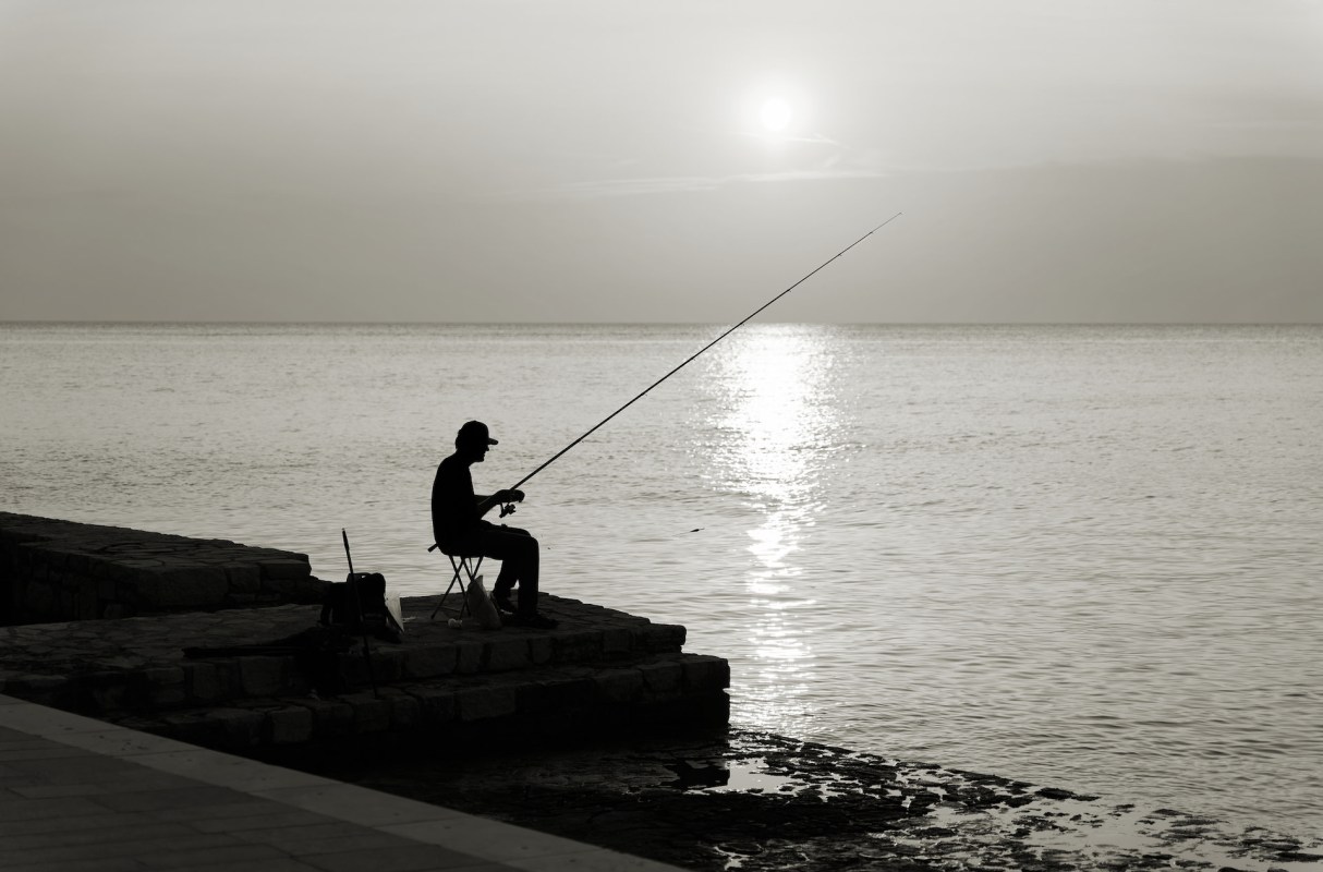 An angler on Oregon's Willamette River caught a surprise 29-inch walleye, a species rarely seen in those waters.