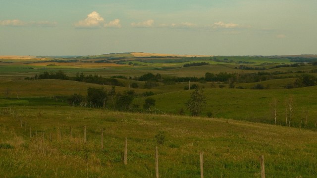 Someone left 142 bird carcasses at a property close to Patience Lake. Officials are hoping a $2,000 reward will help them catch the culprit.