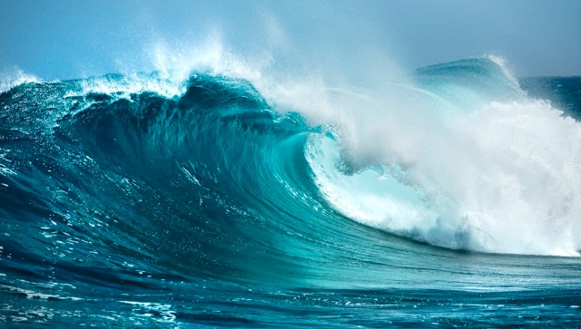 Symphony Wave Power's new wave energy converter operates fully submerged underwater, harnessing energy as waves pass over its exterior.