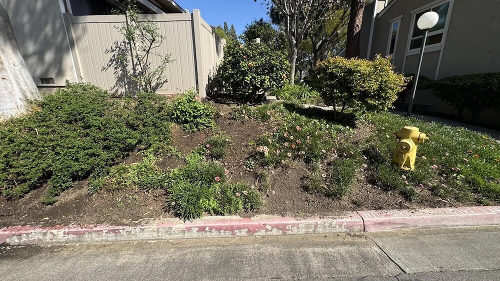 One guerrilla gardener got fed up with their HOA and took matters into their own hands to beautify a balding garden.