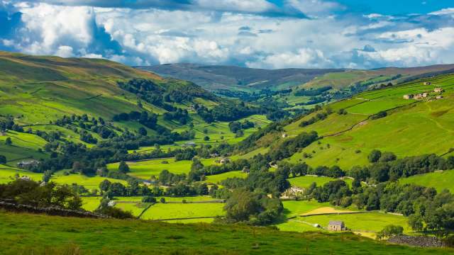 Visitors at a Yorkshire nature reserve recently got a once-in-a-lifetime surprise: a white-throated needletail.