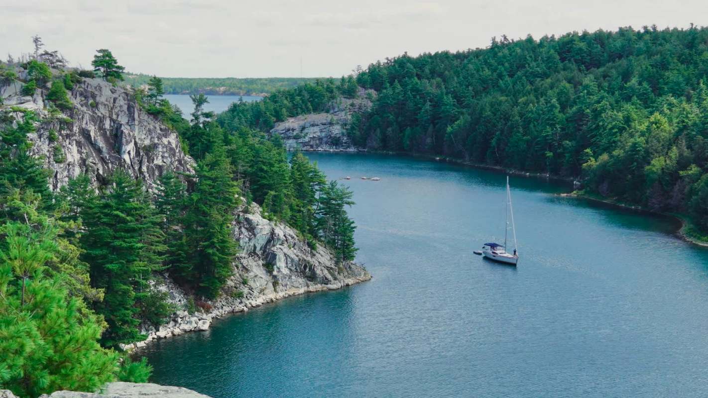 Whitefish populations in Lake Huron and Lake Michigan have been steadily declining due to an invasion of European mussels.
