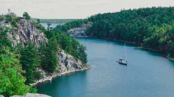 Whitefish populations in Lake Huron and Lake Michigan have been steadily declining due to an invasion of European mussels.