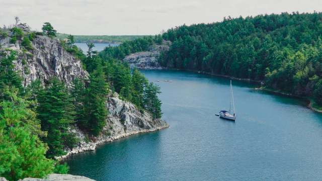 Whitefish populations in Lake Huron and Lake Michigan have been steadily declining due to an invasion of European mussels.