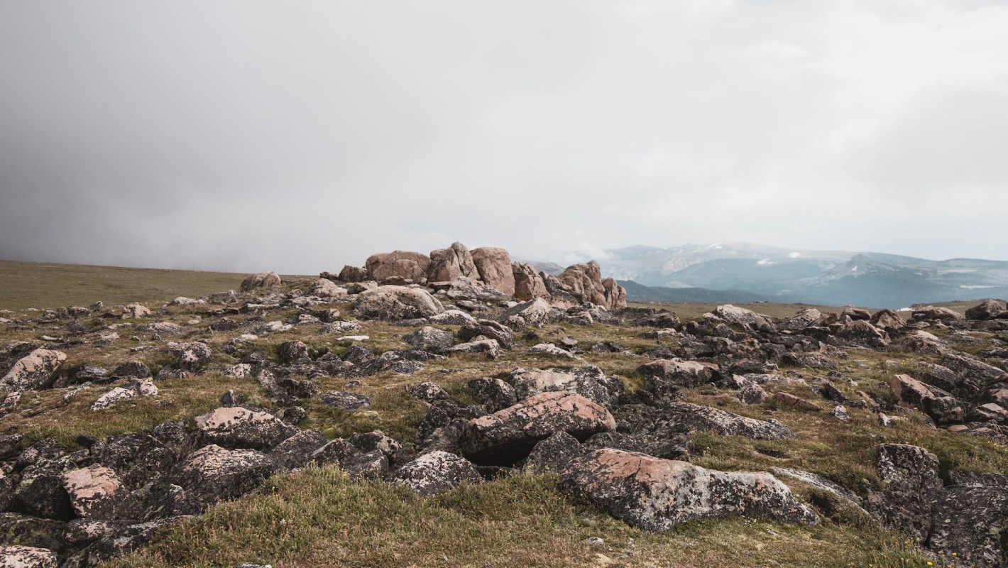 A biologist has noticed that whitetail deer have changed their migratory routes, as revealed by his extensive network of trail cameras.