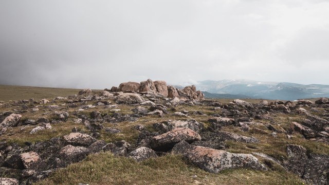 A biologist has noticed that whitetail deer have changed their migratory routes, as revealed by his extensive network of trail cameras.
