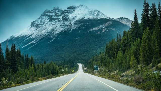 A video of tourists getting dangerously close to a wild bear has sparked outrage online.