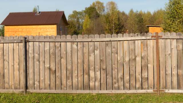 One Redditor shared a photograph of their yard, riotously adorned with thriving wildflowers, in contrast to their neighbor's barren lawn.