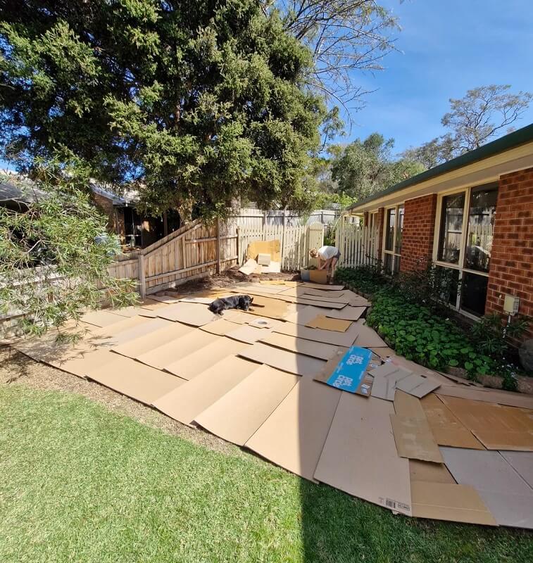 One gardener shared the remarkable transformation of their own yard, reminding Reddit users that the best way to create a glorious garden is through rewilding.