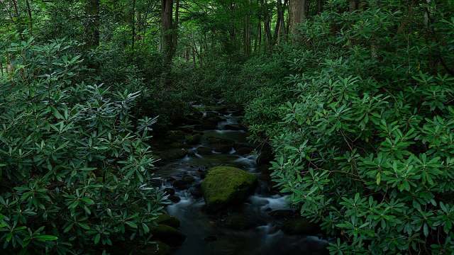 Over the next three years, Big Yellow will donate at least £500,000 to the Woodland Trust's Ancient Woodland Restoration Project.