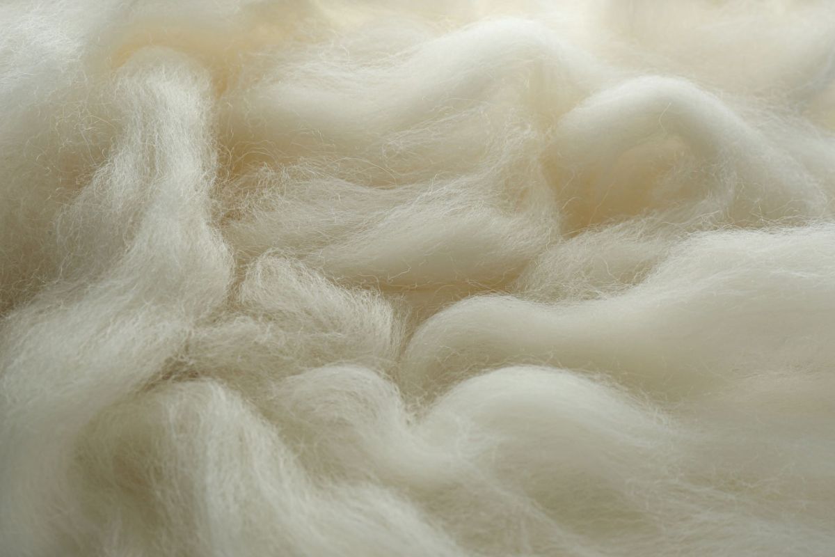 A Bosnian brand called Ministry of Wool is creating sustainable, biodegradable wool products that promote a circular economy.