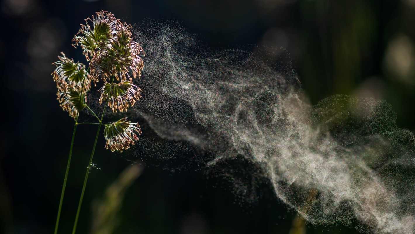 Much of the Northeast region in the U.S. has been mired in an extended drought throughout 2025.