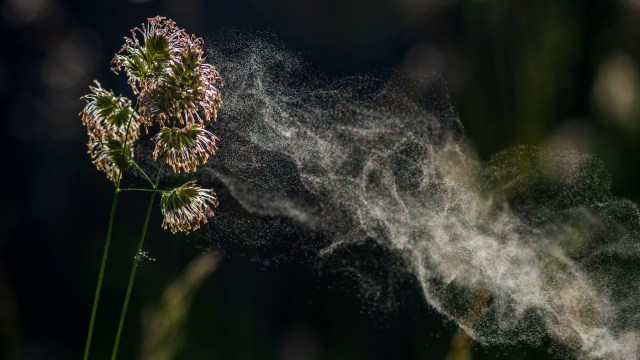 Much of the Northeast region in the U.S. has been mired in an extended drought throughout 2025.