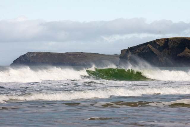A rare wreckfish — a deep-sea-dwelling, prehistoric species — was spotted offshore near Cornwall, England.