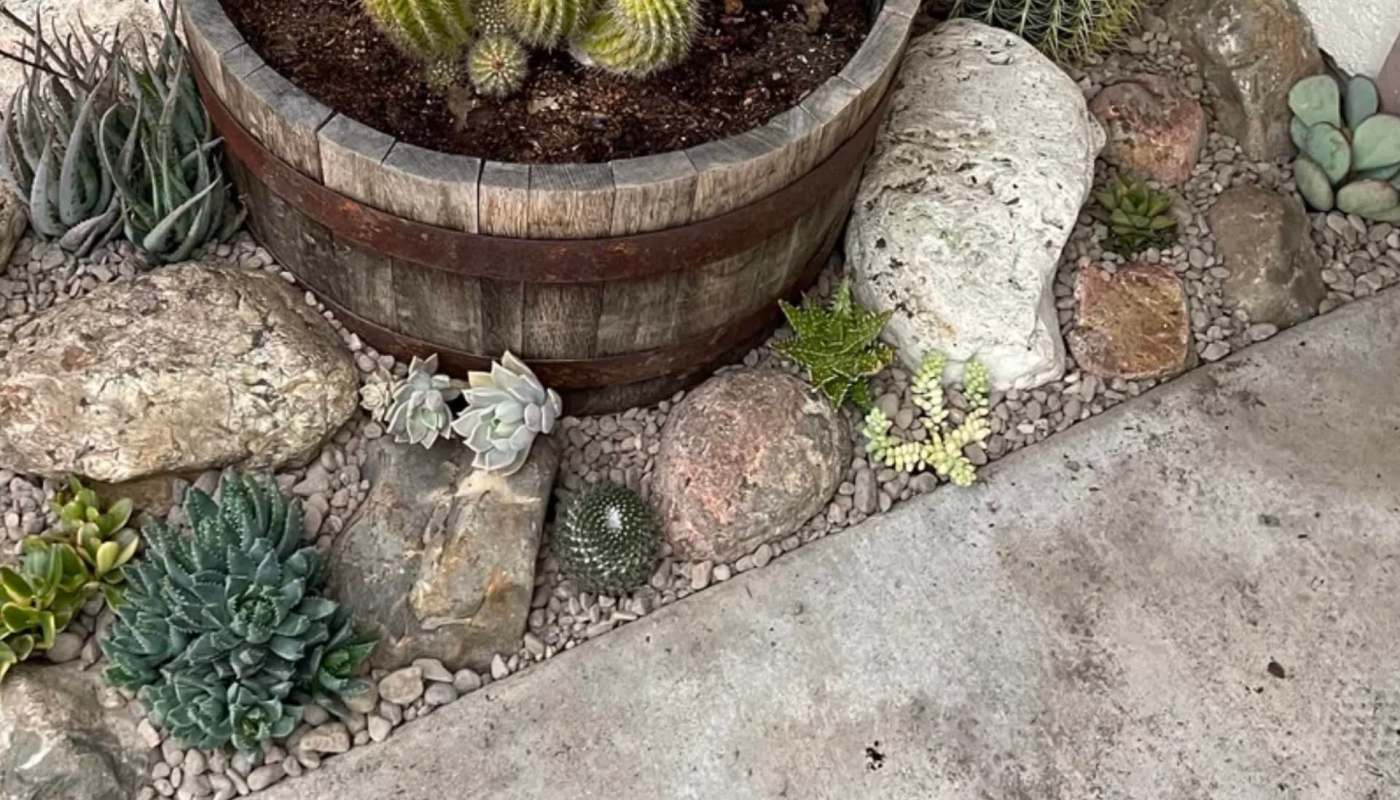 A Reddit user shared photos of their beautiful xeriscaped yard, demonstrating how to create a sustainable landscape.