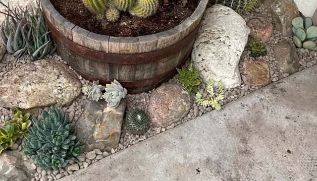 A Reddit user shared photos of their beautiful xeriscaped yard, demonstrating how to create a sustainable landscape.