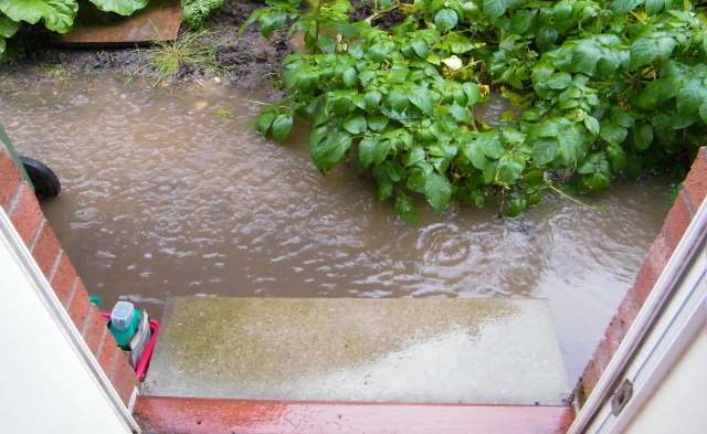 One TikTok user shared their commitment to xeriscaping and how it can stop yard flooding without breaking the bank.