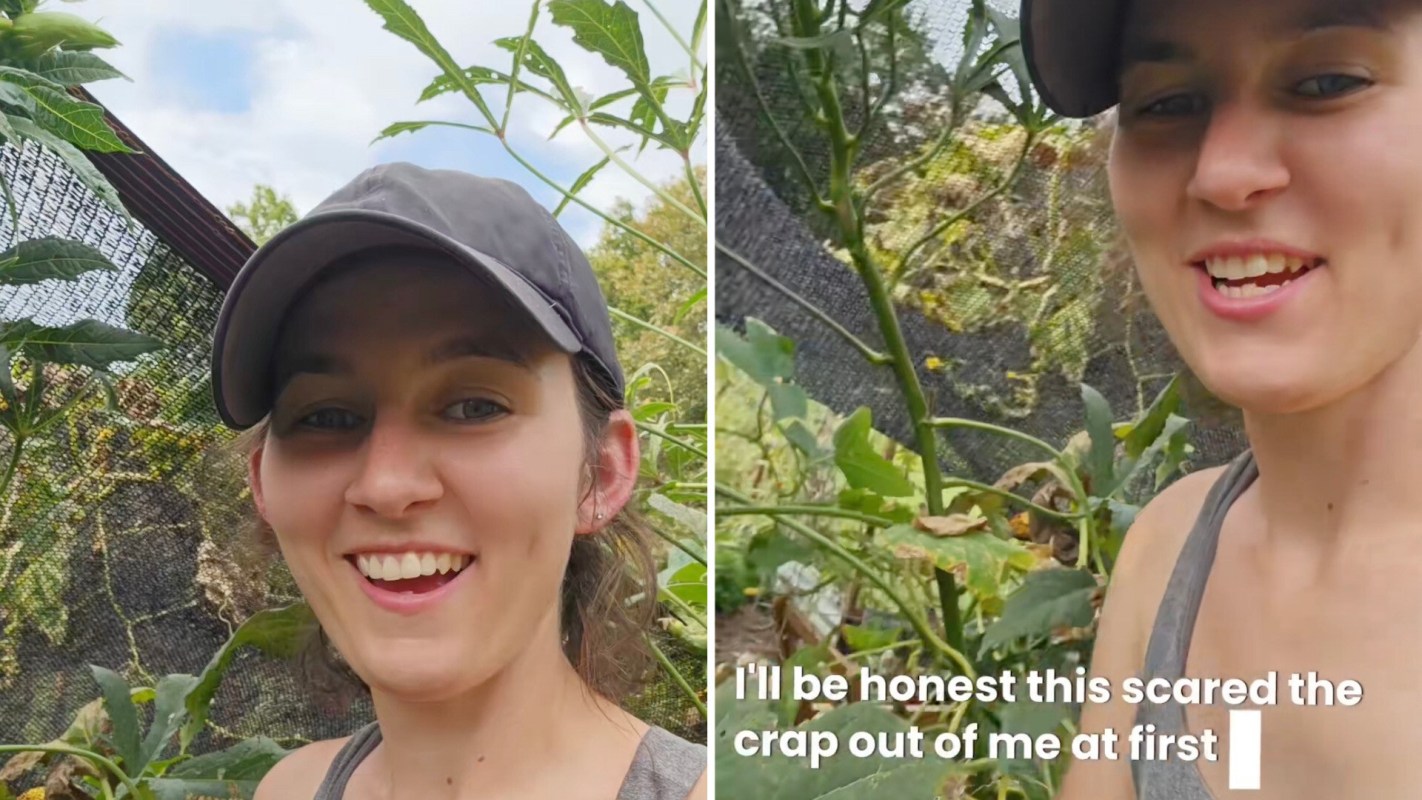 One gardener was excited to find a gray tree frog on her garden's plants, and she shared her heartwarming discovery in a recent TikTok video.
