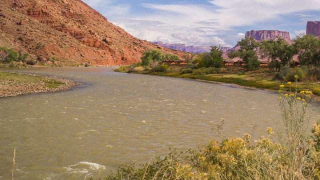 Zebra mussels have caused billions of dollars in damage across the U.S., and experts are warning that their move to the West Coast could be catastrophic. 