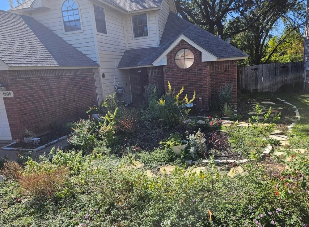 One Redditor gained a lot of attention online after sharing photos of their year-long yard transformation, adding that they used native plants.