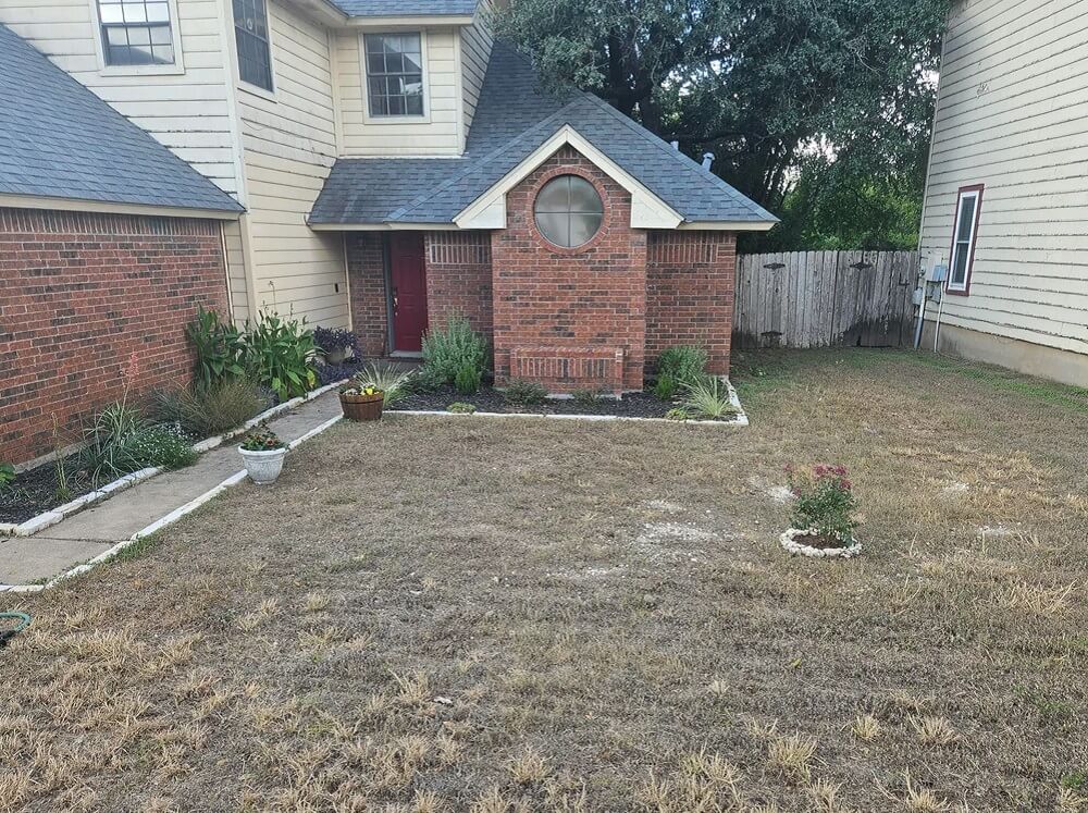 One Redditor gained a lot of attention online after sharing photos of their year-long yard transformation, adding that they used native plants.