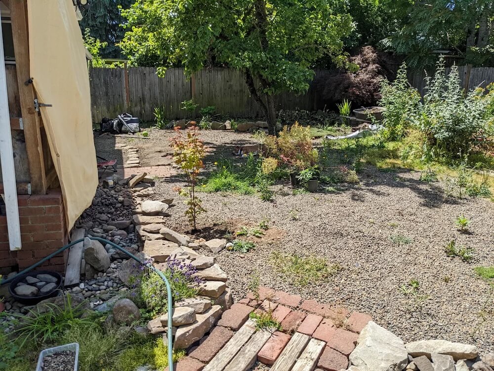 A homeowner shared the payoff of two years' work on their backyard, in an effort to convert it from all gravel to a native plant landscape.