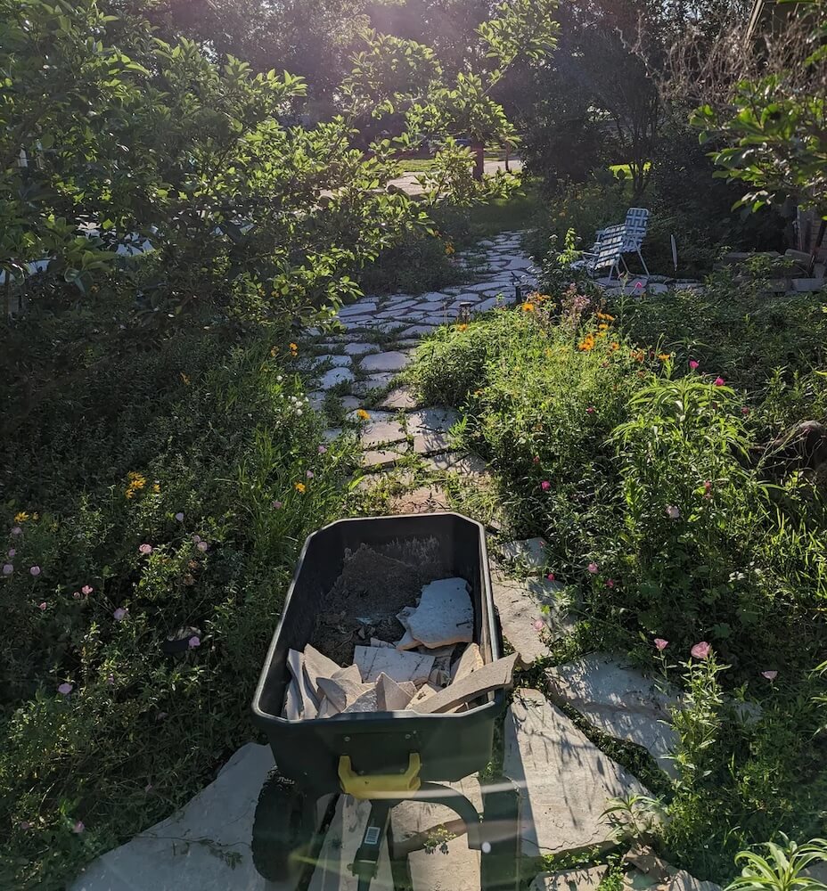 One homeowner shared a Reddit post revealing how they turned their traditional lawn into a beautiful Texas-native garden.