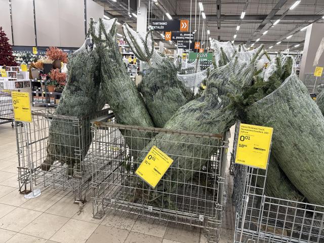 Photo credit: Reddit.com