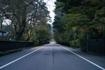 Japan has seen over 100 injuries and 12 deaths due to bear attacks, which many experts attribute to climate change.