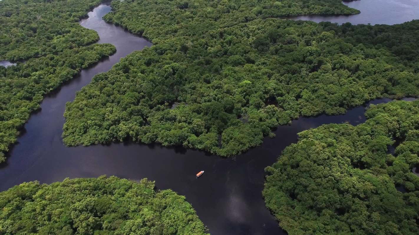A study has revealed that humanity’s footprint in the Amazon rainforest is reshaping the forest in ways scientists didn't expect.