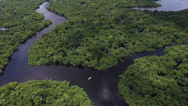 A study has revealed that humanity’s footprint in the Amazon rainforest is reshaping the forest in ways scientists didn't expect.