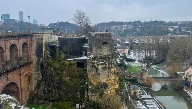 Asian hornets have proliferated across Luxembourg, with the insects building large nests at inaccessible heights.