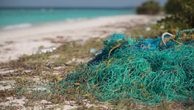 A rare Bahama pintail hybrid duck was trapped in more than 50 feet of fishing wire until Cleethorpes Wildlife Rescue saved it.