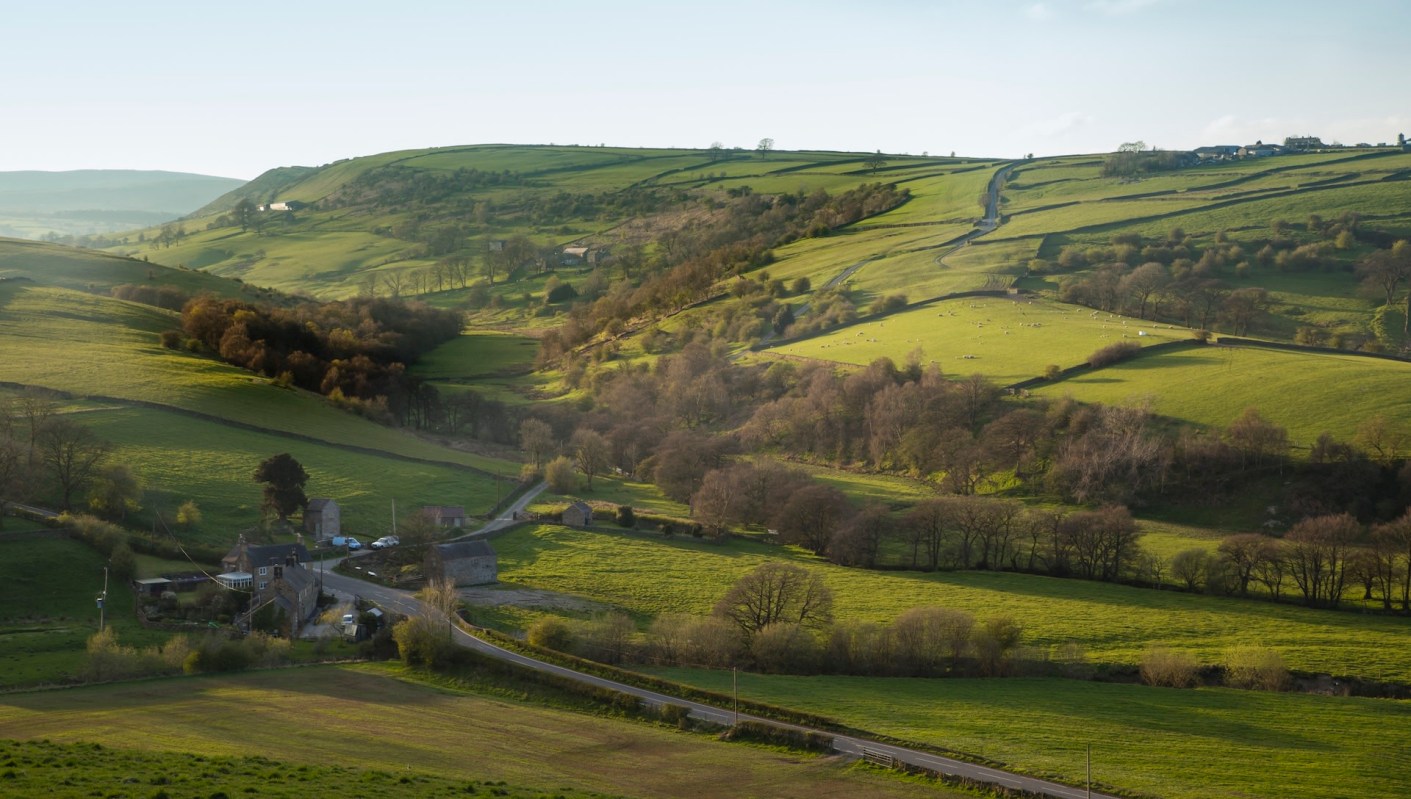 One conservation site visitor discovered a rare species of spider known as Britain's minitarantula in the UK.