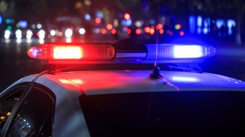 California has become a major wildlife trafficking gateway, with state and federal officials intercepting a shocking number of live animals at border crossings.