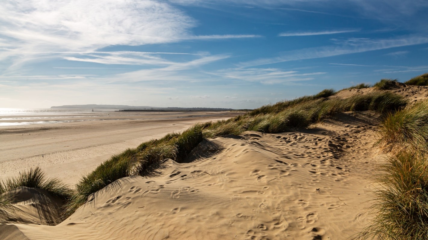 Dog owners were warned after toxic plastic pellets, known as biobeads, were found at Camber Sands' beach.