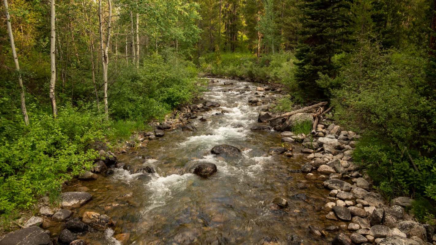 The Coffee Lake Creek natural area project was a massive 60-acre restoration effort and is an ideal spot for visitors to experience nature.
