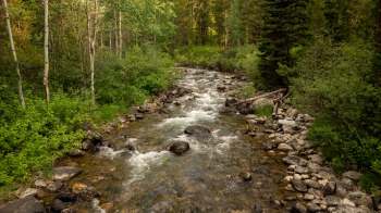 The Coffee Lake Creek natural area project was a massive 60-acre restoration effort and is an ideal spot for visitors to experience nature.
