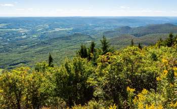 36 acres of land in the city of Greenfield have been recently donated to form the Conti-Gauley Conservation Area.