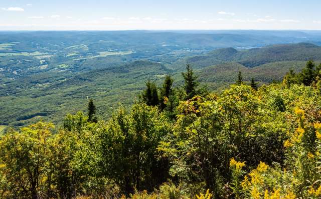 36 acres of land in the city of Greenfield have been recently donated to form the Conti-Gauley Conservation Area.
