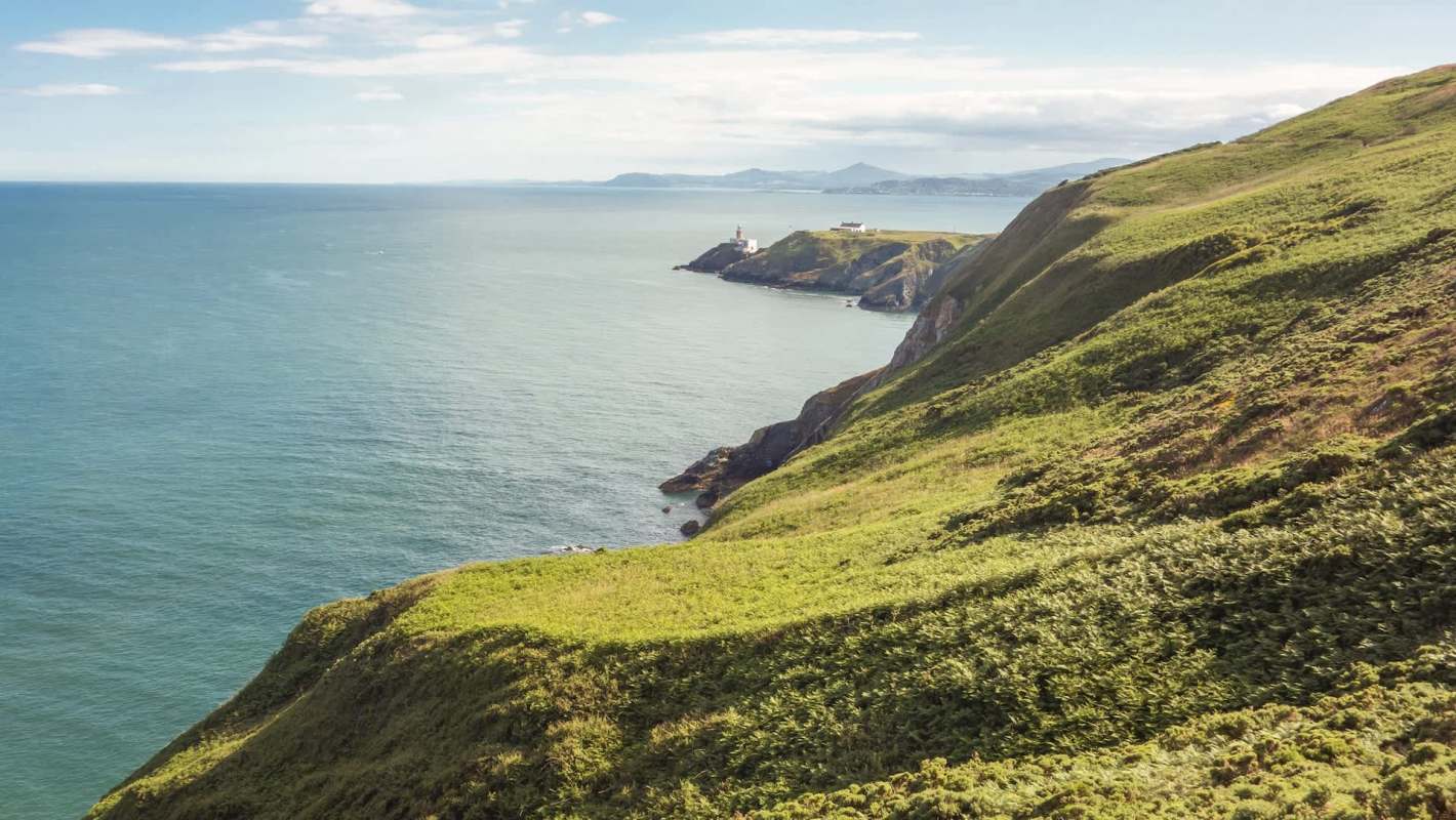For the first time in more than 200 years, native oysters are back in Dublin Bay, helping to improve water quality and coastal ecosystems.