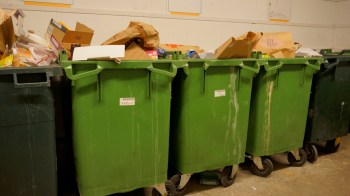 One dumpster diver shared how they were able to save several artificial Christmas trees and how others can do the same.