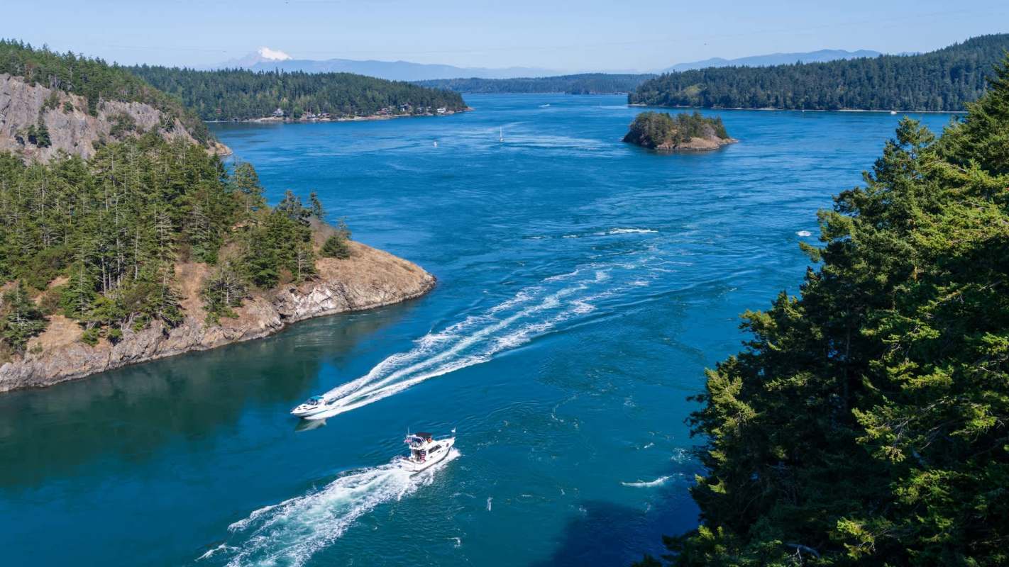 Researchers with Washington Sea Grant confirmed the first-ever detection of European green crabs in the northern Whidbey Basin.
